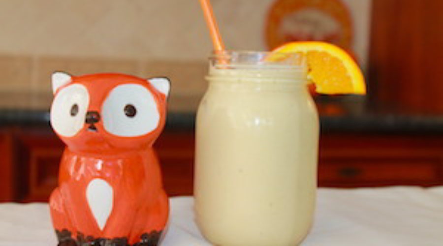 tn orange coconut smoothie with fox