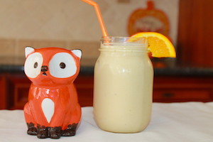 tn orange coconut smoothie with fox