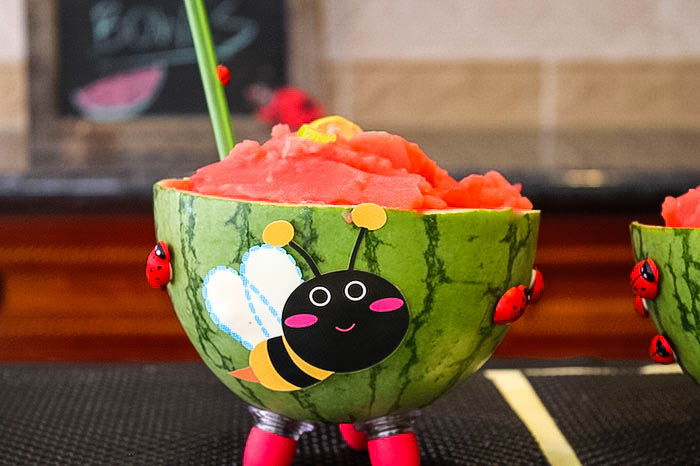 watermelon slushy bowl with decorations