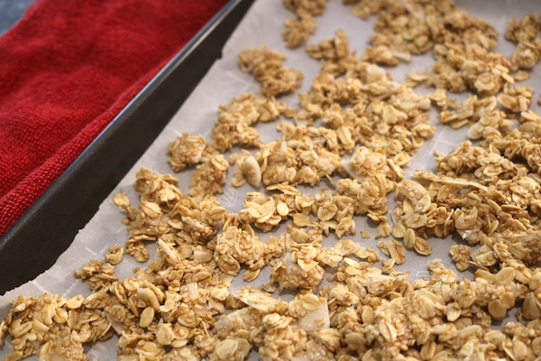 granola snack on tray