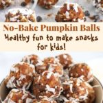 no bake pumpkin balls pin