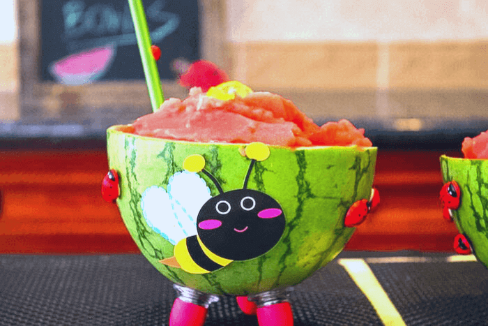 watermelon slushy bowls