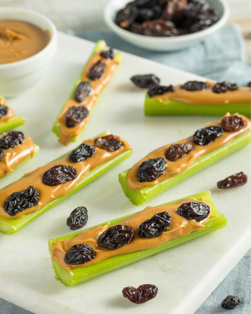 ants on a log