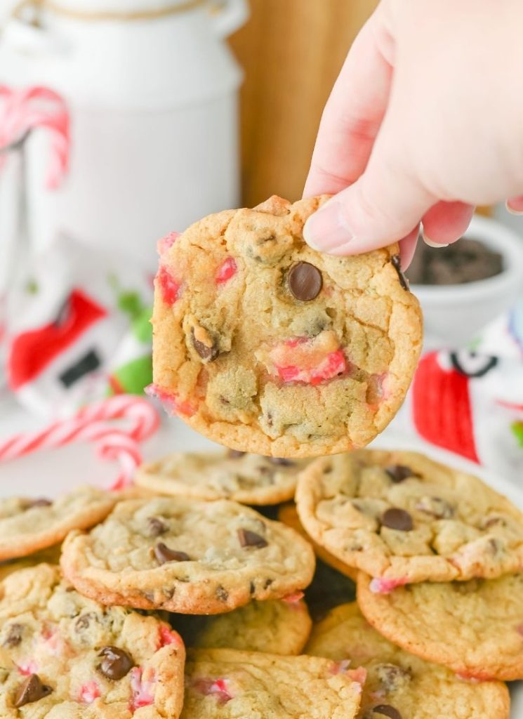 peppermint chocolate chip cookie